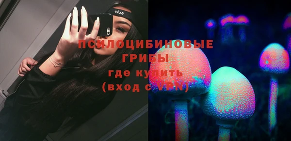 крисы Армянск