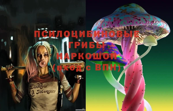 a pvp Аркадак
