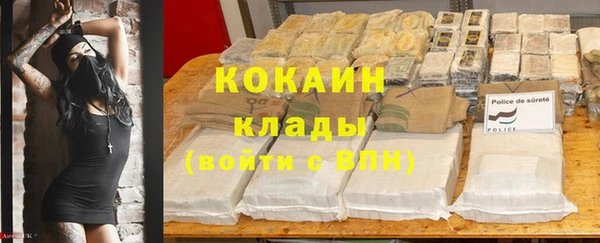 a pvp Аркадак