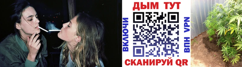 Каннабис гибрид  Рассказово 